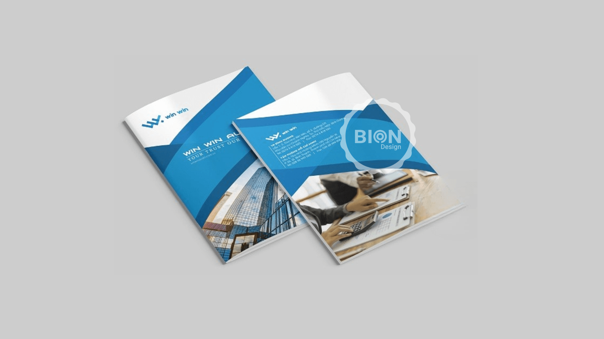 dự án profile win win