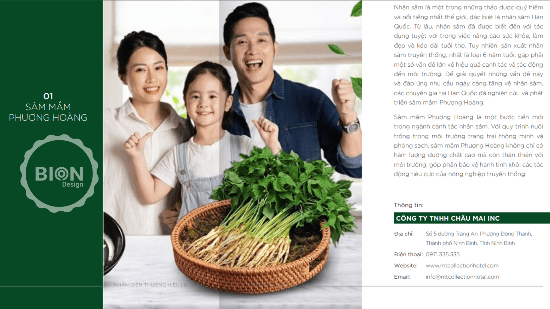 dịch vụ thiết kế logo- nhận diện thương hiệu mai châu inc