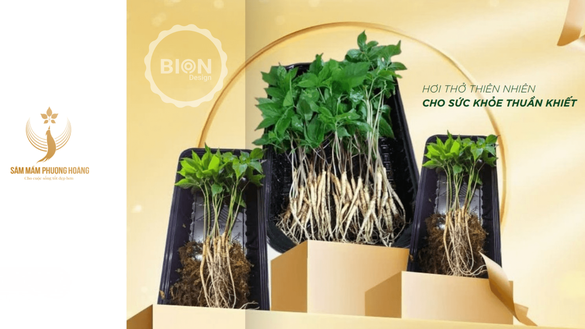 dịch vụ thiết kế logo- nhận diện thương hiệu mai châu inc