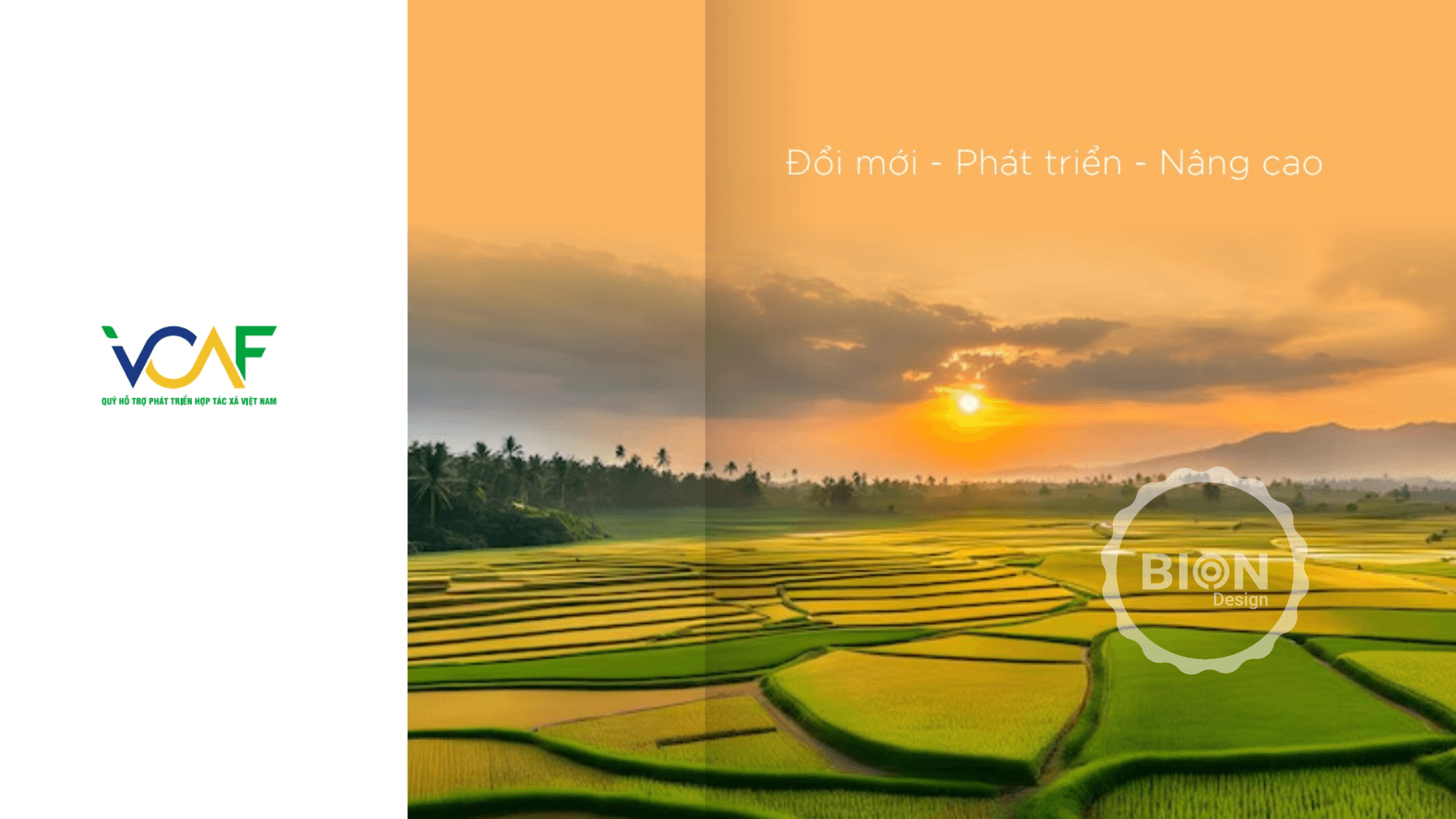 dự án thiết kế logo nhận diện thương hiệu VCAF
