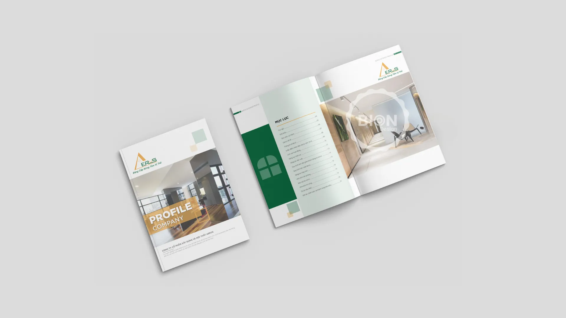 dự án profile Aeros